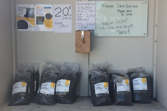 fumier de poule, Compost